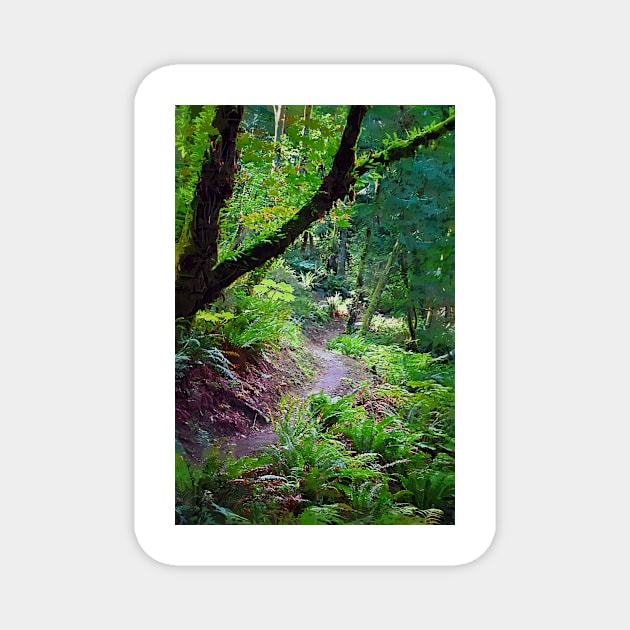 Winding Trail Magnet by KirtTisdale