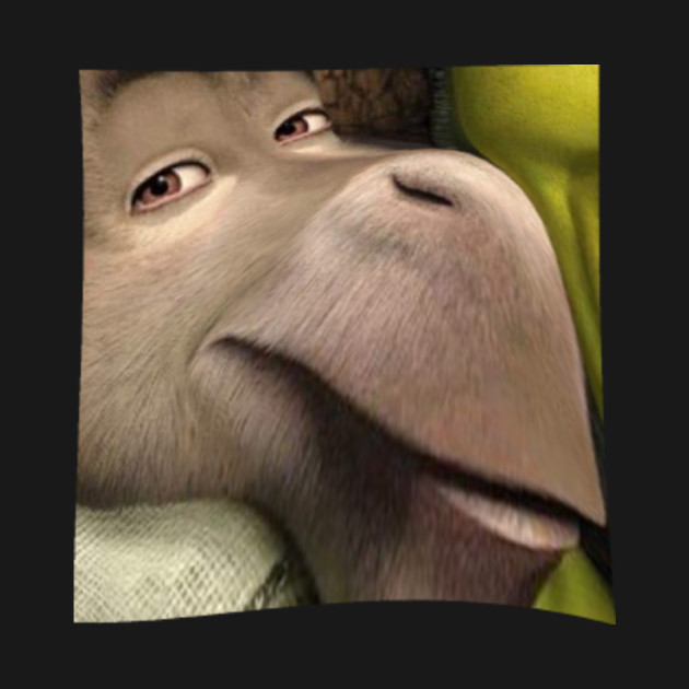 Donkey Staring Meme Shrek