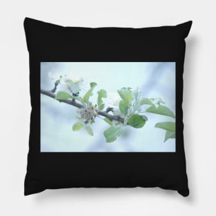 Nectarine Blossoms Pillow