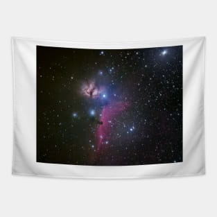 Horsehead and Flame nebulae Tapestry