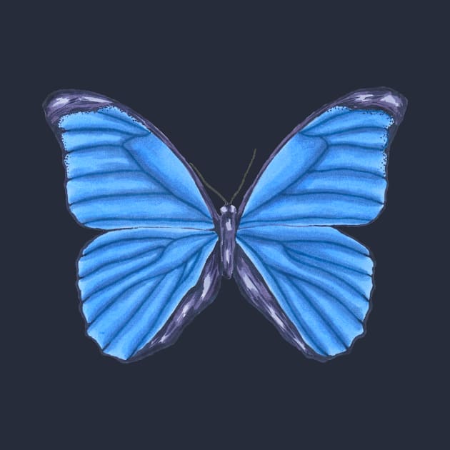 Blue butterfly by PallKris