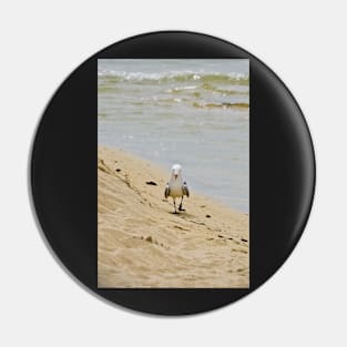 Taking a stroll on the beach Pin