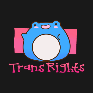 Trans Rights Cute Frog Pride T-Shirt