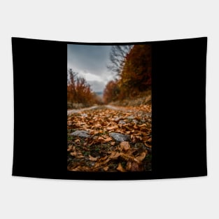 Autumn Leaf Pathway Tapestry