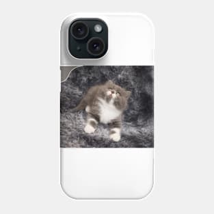 lovely cats Phone Case