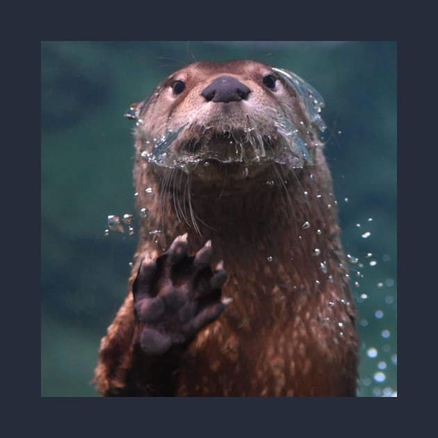 North American River Otter by Sharonzoolady