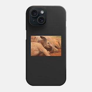 Baby Elephants Playtime Phone Case