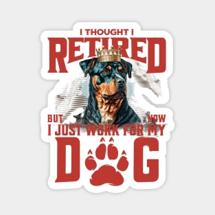 I thought I retired but now I just work for my dog Magnet