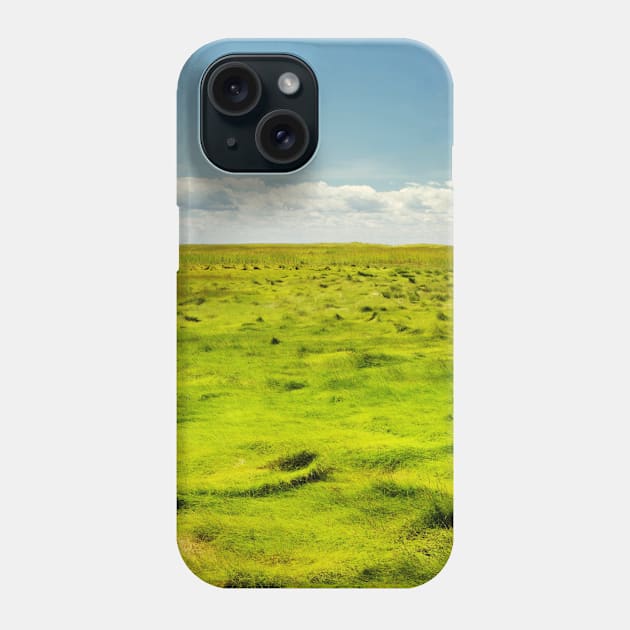 SCENERY 22 - Outdoor Grass Field Park Pathway Phone Case by artvoria