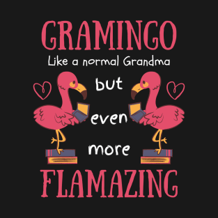 Flamazing Gramingo - Funny Grandma - Amazing Grandma - Best Grandma - Fabuela T-Shirt