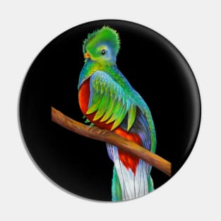 Quetzal Pin
