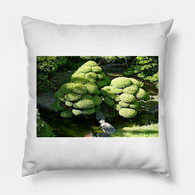 SF Japanese Tea Garden Study 6 Pillow by bobmeyers