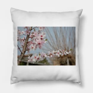 Almond Blossom Pillow