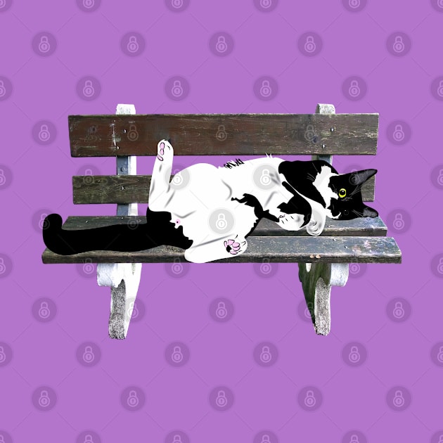 Cute Tuxedo Cat Resting on a Park Bench Copyright by TeAnne by TeAnne