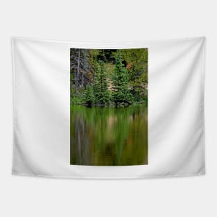 Lake Irene 2018 Study 7 Tapestry