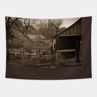 Abandoned Farm In Sepia Tapestry