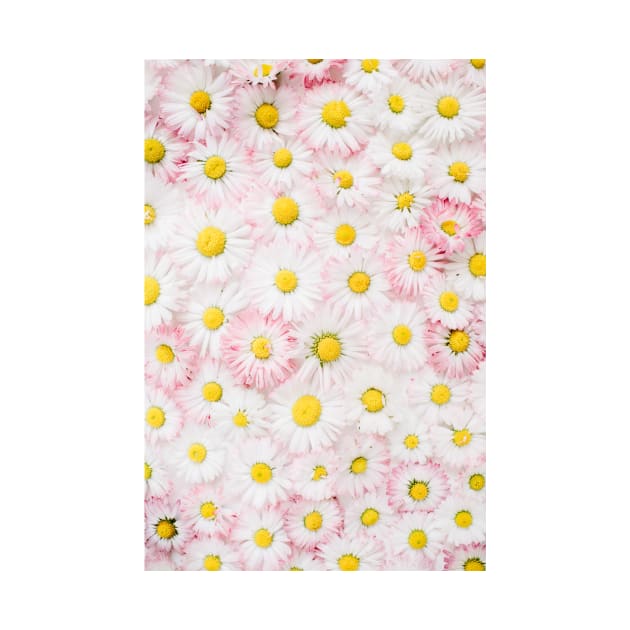 Daisy Flowers by NewburyBoutique