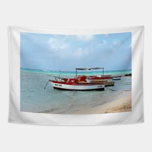 Welcome to Aruba, fishing boats tied up. Tapestry
