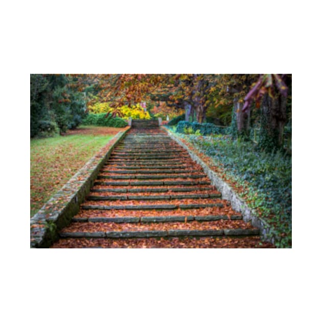 Autumnal Stairs by Femaleform