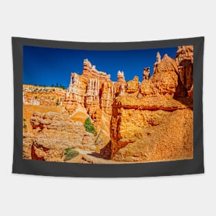 Bryce Canyon National Park Tapestry