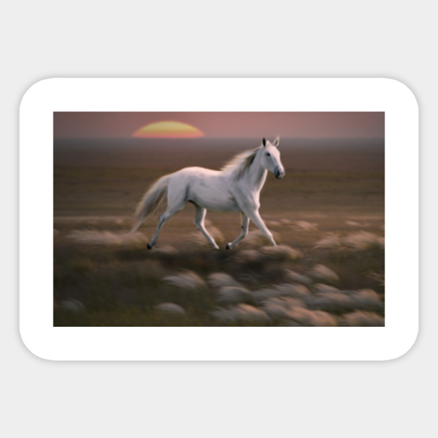 The Horse Nature Animal Horse Freedom