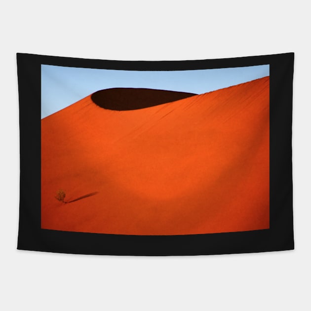 Sculptured dune, Namib Desert soon after sunrise Tapestry by Carole-Anne