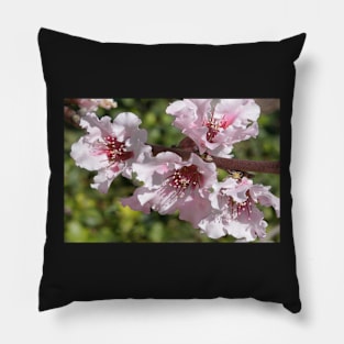 Blooming Branch Pillow