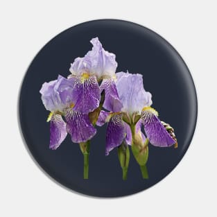 Irises - Lavender Irises Pin