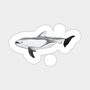 Pacific White Sided Dolphin Magnet