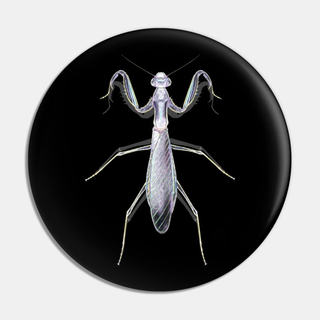 Ghost Mantis Pin by crunchysqueak