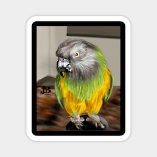 Mischievous Parakeet Magnet