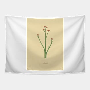 Botanical watercolor painting Tapestry