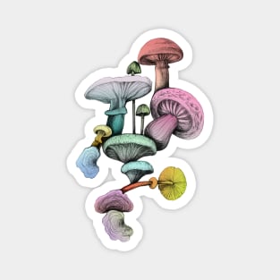 Shrooms Magnet