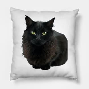 Black Cat Image Pillow