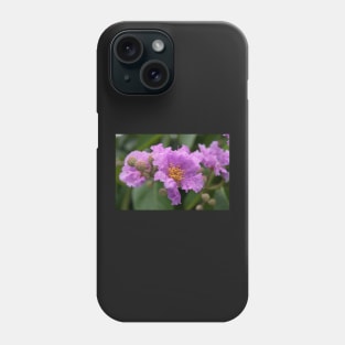 Flowers in Vientiane - Laos Phone Case