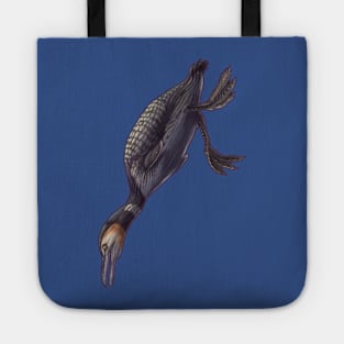 Hesperornis regalis Tote