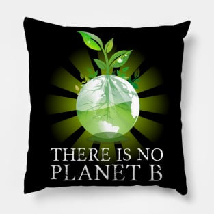 There Is No Planet B - Climate Change Action Pillow