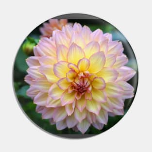 Dahlia Pin