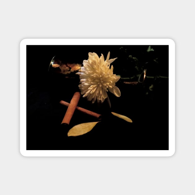 Chrysanthemum & Cinnamon 2 - Baroque Inspired Dark Still Life Photo Magnet by GenAumonier