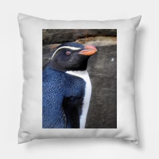 Fiordland Penguin Pillow