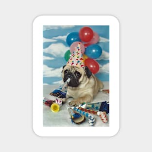 Birthday Pug Dog Magnet