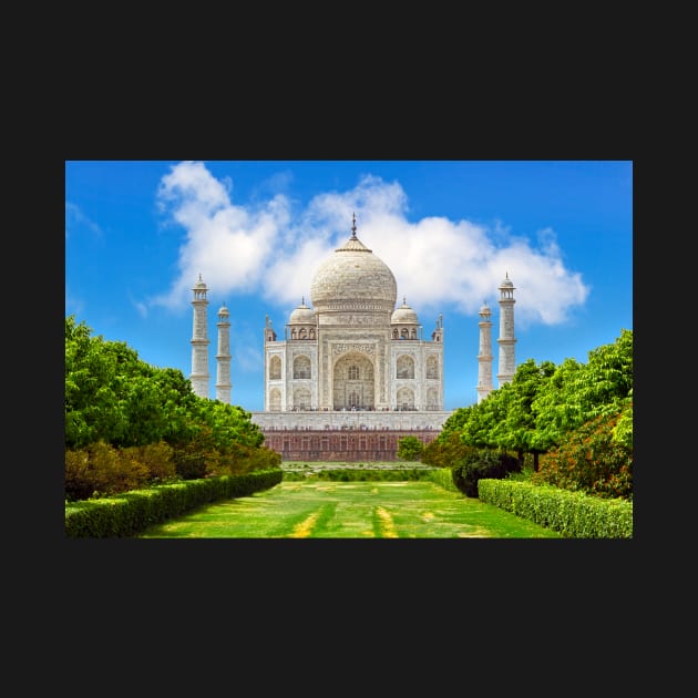 Taj Mahal from Mehtab Bagh. by bulljup