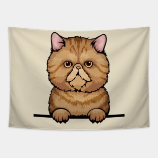 Tabby Exotic Cat Tapestry