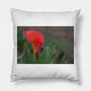 850_6108 Pillow