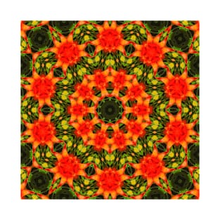 Mandala Kaleidoscope in Shades of Red and Green T-Shirt