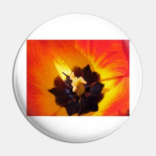 Red and yellow tulip stamens Pin