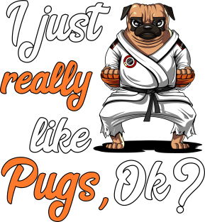 I Just Really Like Pug Dogs Funny Karate Ninja Martial Arts Magnet