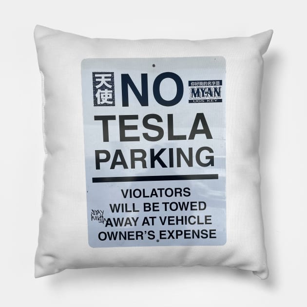 The Tesla no no Pillow by Draco Inc.