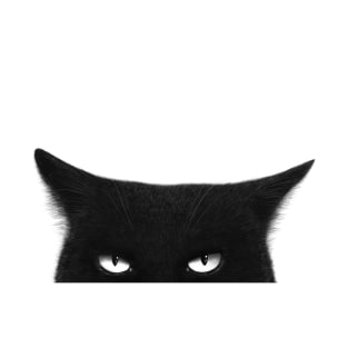 Angry black cat T-Shirt