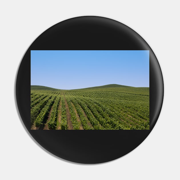 Rolling Vineyards Pin by randymir